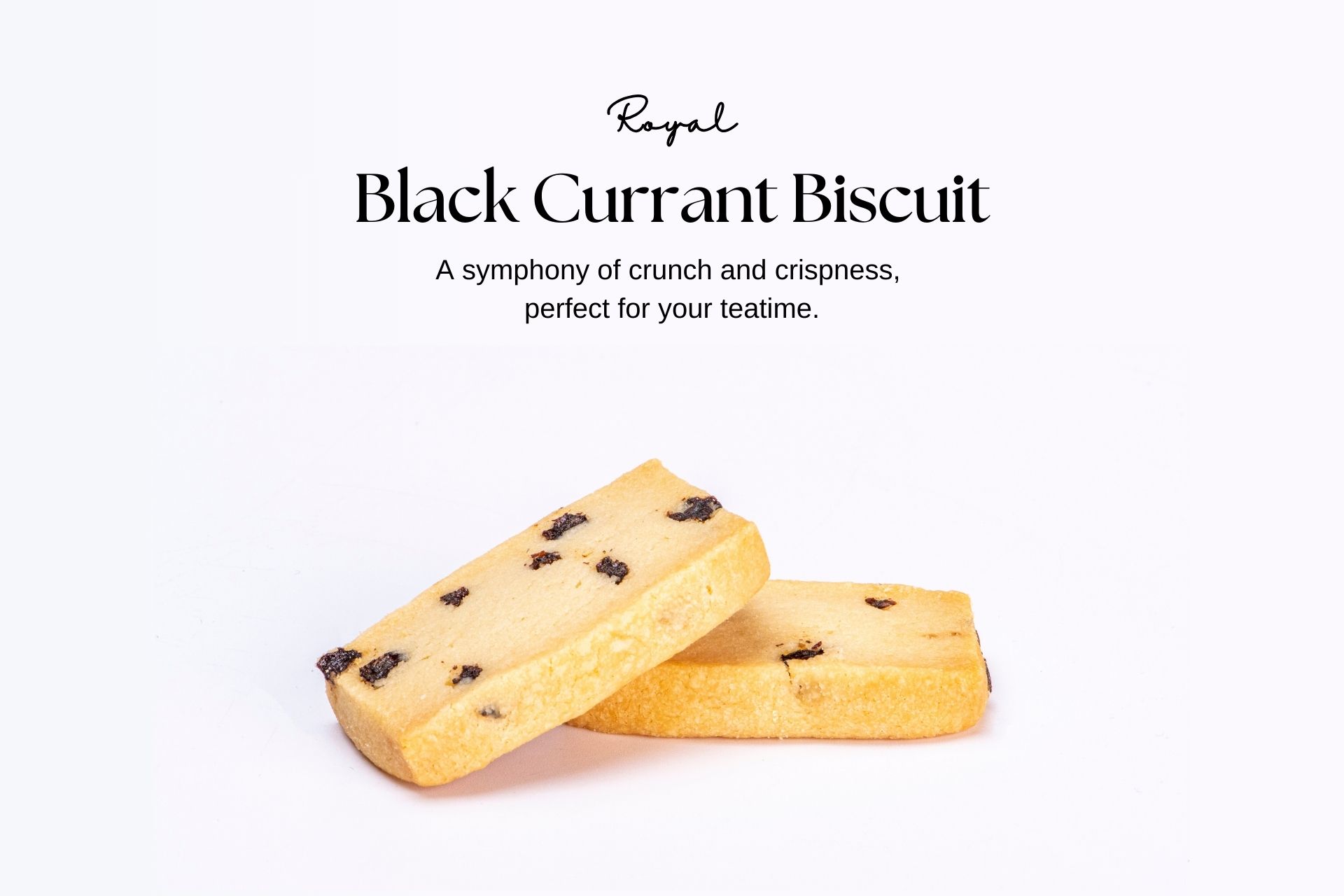 Black_Currant_Biscuit_Image.jpg