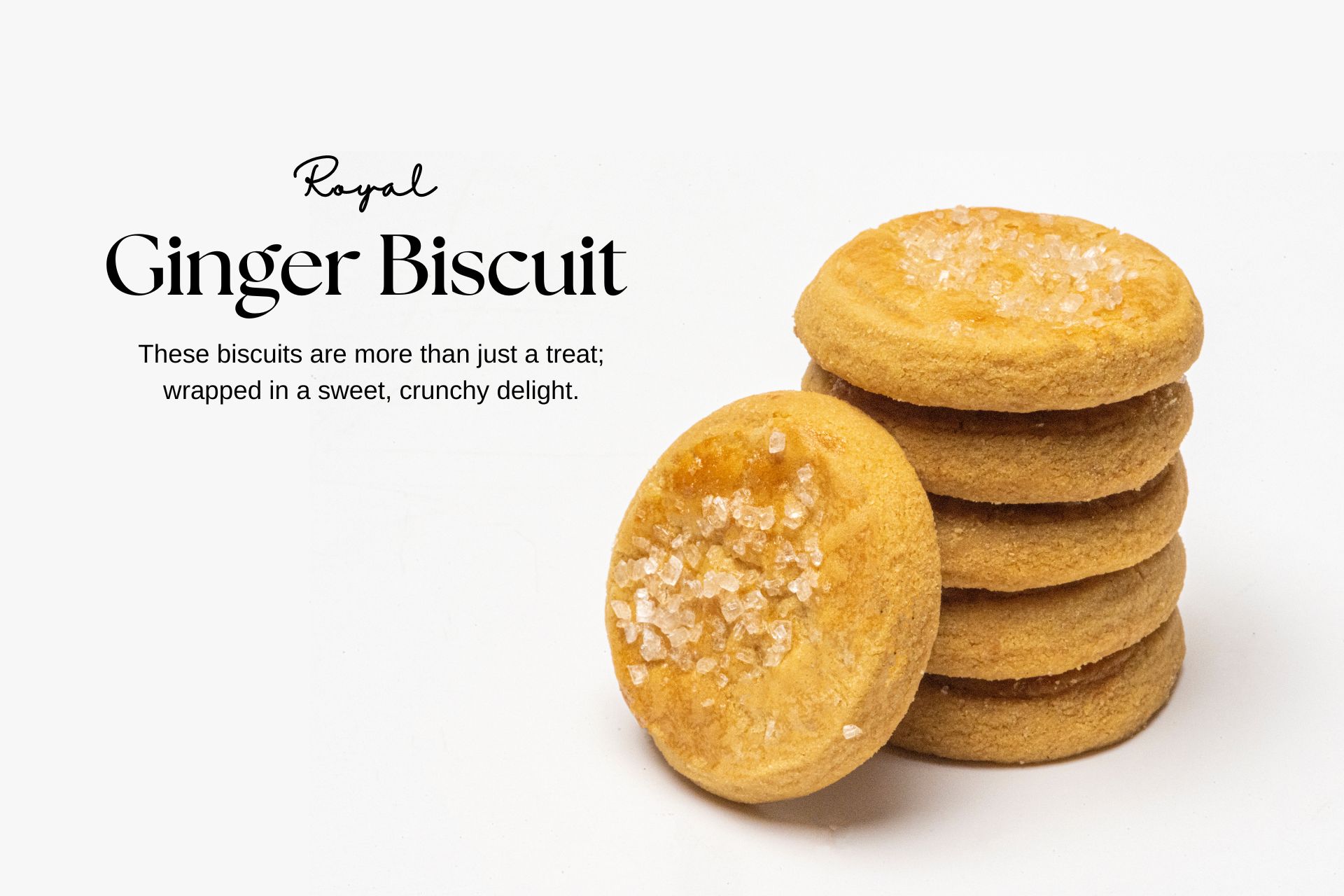 Ginger_Biscuit_Image.jpg